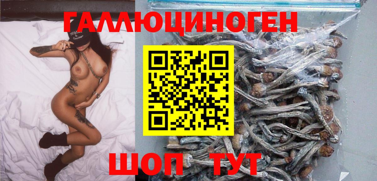 Каспийск  Псилоцибиновые грибы MAGIC MUSHROOMS  наркота  Вход с VPN 